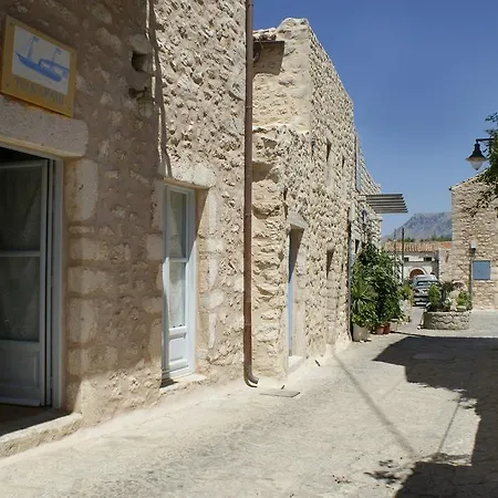 Karavi